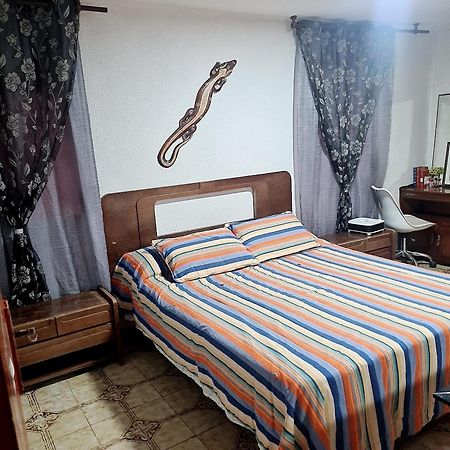 Piso, Bonito,Acogedor Y Barato Apartment กัสเตญองเดลาปลานา ภายนอก รูปภาพ